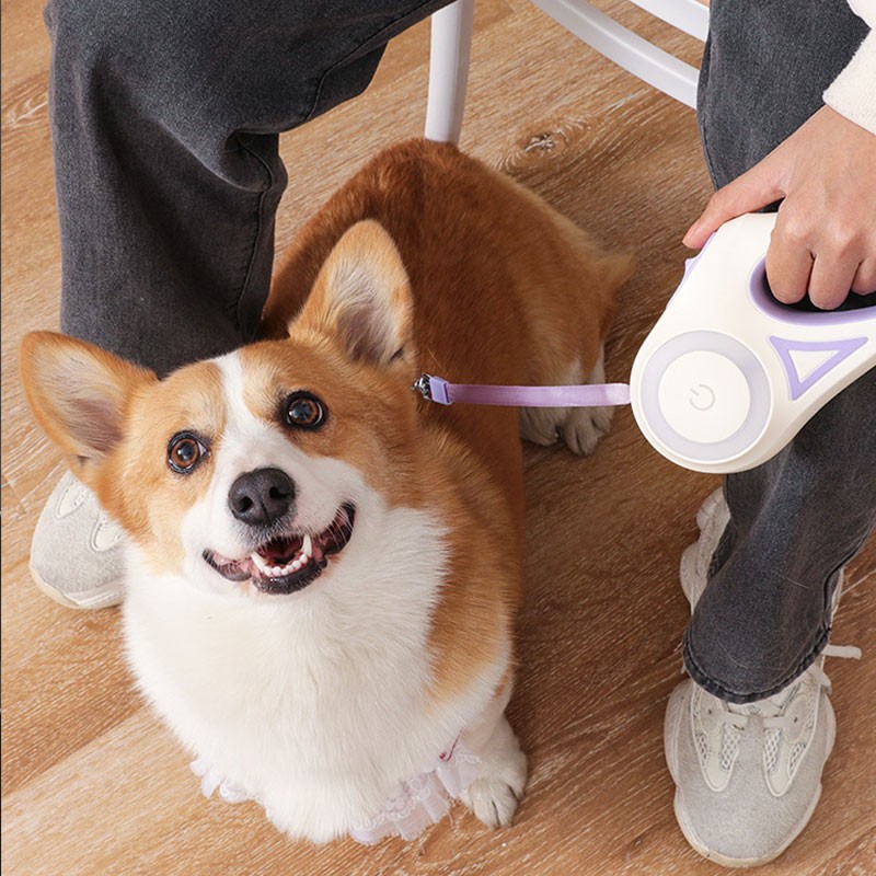 High Quality Luxury Automatic Retractable Nylon Dog Leash LED Light High-Visibility Rope Custom Logo Solid Pattern Portable Belt