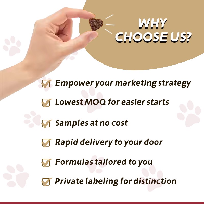 Muscle Gain High-Protein Soft Chews for Dog of All Ages Healthy Muscle Building and Recovery Premium Protein Health Preservation