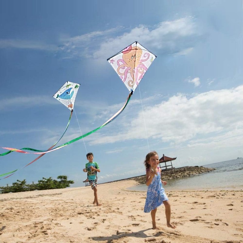 Kite Manufacturer - DIY Kids Craft Outdoor
