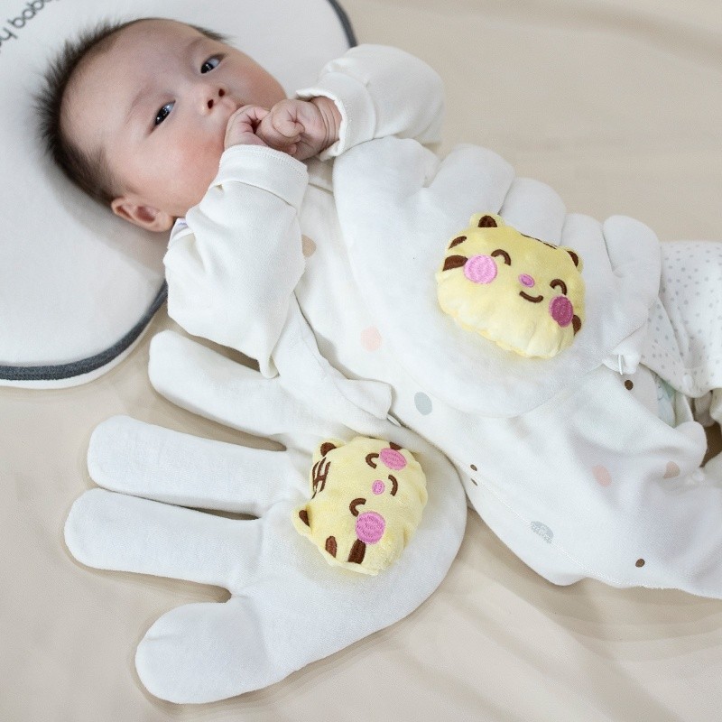 Comfort Palm Factory - Red Bean Disassembled Washable