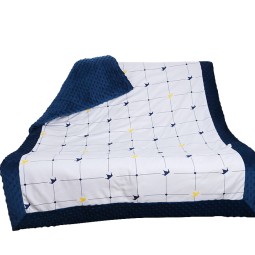 Baby Blanket Factory - Spring Autumn Winter Nap