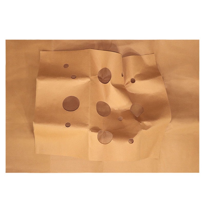 Pet Mat Supplier - Interactive Training Cat