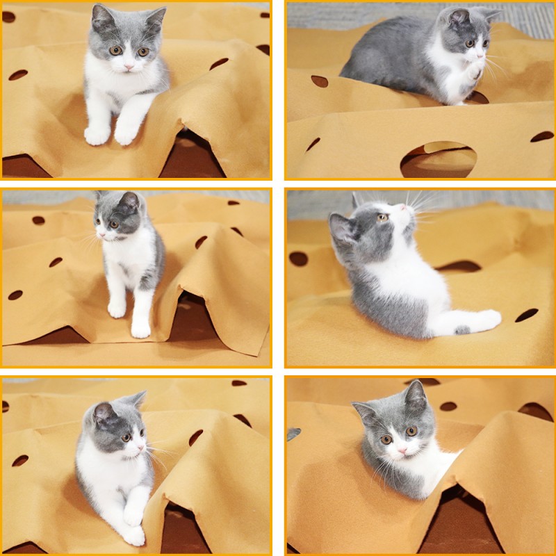 Pet Mat Supplier - Interactive Training Cat