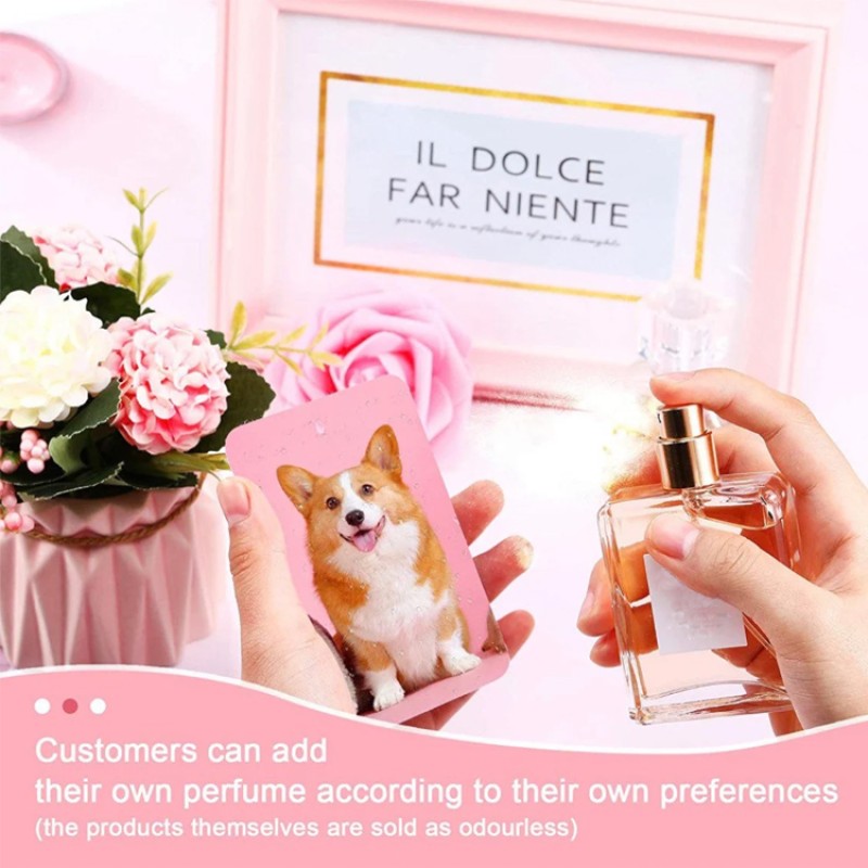 Air Freshener Manufacturer - Sublimation Car Blanks