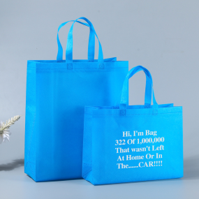 Shopping Bag Manufacturer - Custom Logo PP