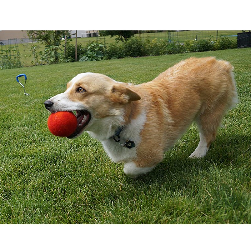 Pet Toy Factory - Wool Balls Teeth Clean