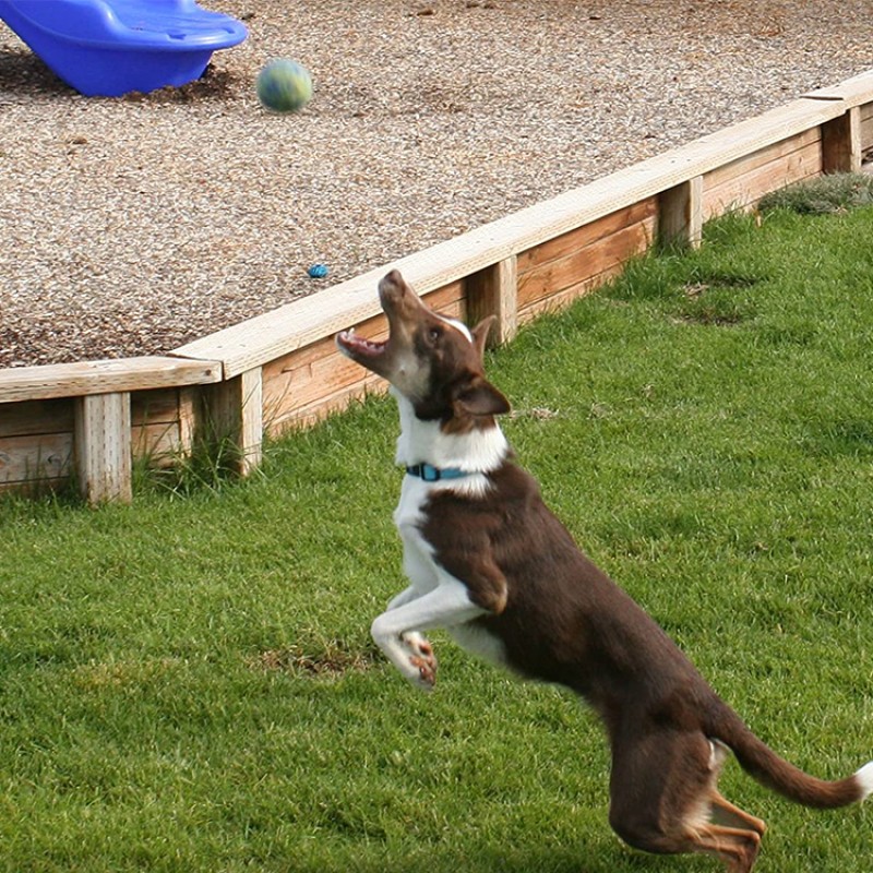 Pet Toy Factory - Wool Balls Teeth Clean