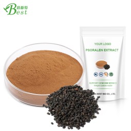 Psoralea Corylifolia Extract Psoralen 10:1