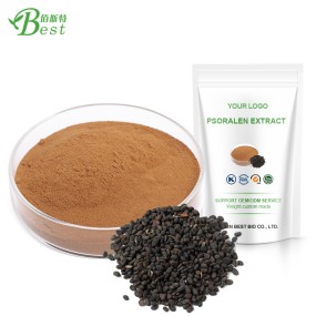 Psoralea Corylifolia Extract Psoralen 10:1