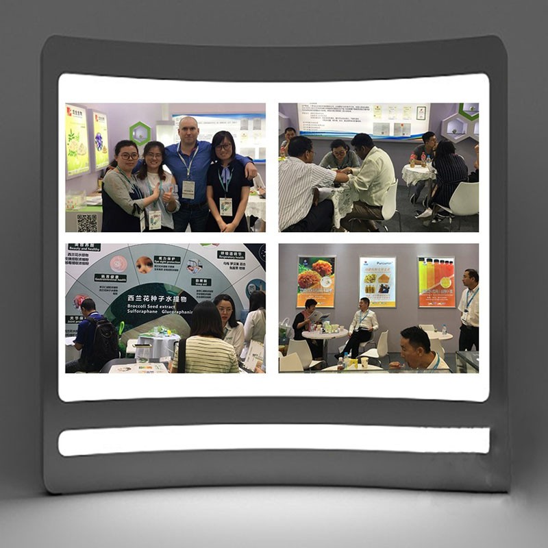 Hot Sale Instant Yellow Tea Powder 100% Nature with OEM Service