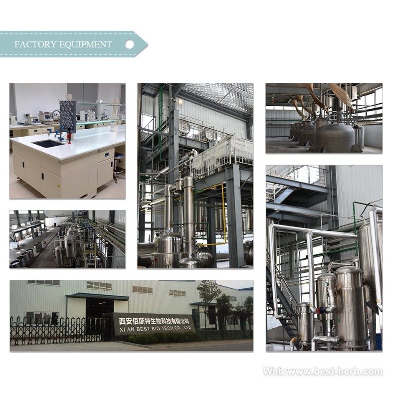 Natural  Antrodia Powder/Antrodia Cinnamomea Powder/Antrodia Camphorata Powder