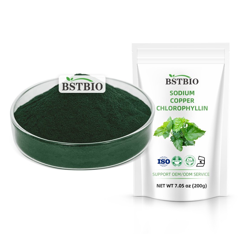 BSTBIO Natural Pigment Chlorophyll Powder CAS 65963-40-8 99% Sodium Copper Chlorophyllin