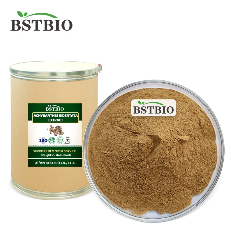 BSTBIO Radix Achyranthis Bidentatae Extract Powder 10:1 Radix Achyranthis Bidentatae Achyranthes Root Extract