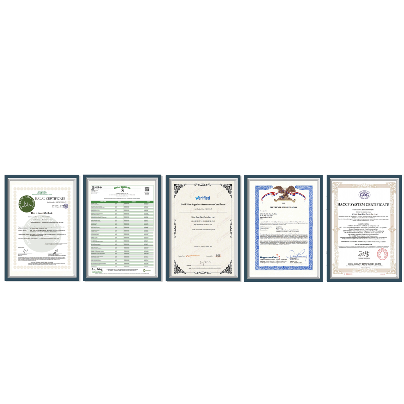 Wholesale High Quality Chinese Sunflower Seeds Sunflower Seed Sprout Protein Extract Powder