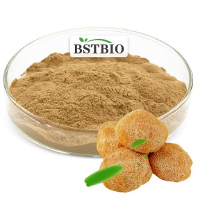 BSTBIO Polysaccharides Hericium Erinaceus Mycelium Powder Organic Lions Mane Mushroom Extract