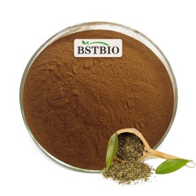Top Quality Ilex Paraguariensis Powder Yerba Mate Extract Private Label Tea Yerba Mate Wholesale Yerba Mate Powder