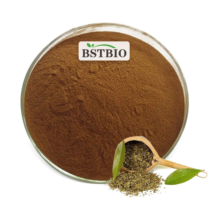 Top Quality Ilex Paraguariensis Powder Yerba Mate Extract Private Label Tea Yerba Mate Wholesale Yerba Mate Powder