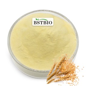 BSTBIO High Quality Supplements CAS 124-20-9 Spermidine 1% Wheat Germ Extract Powder
