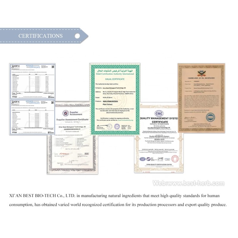 Natural  Antrodia Powder/Antrodia Cinnamomea Powder/Antrodia Camphorata Powder