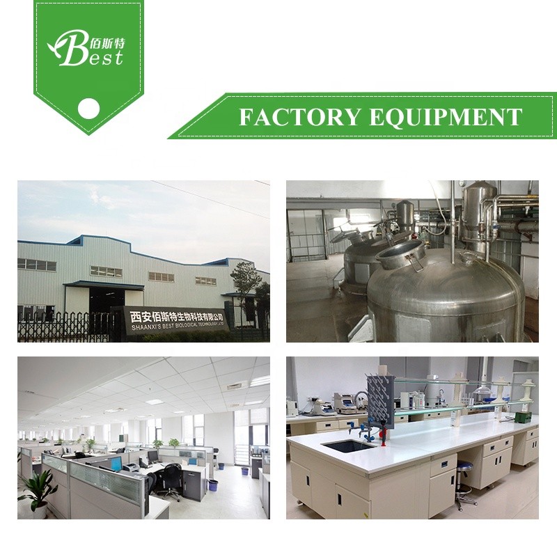 Best Price Lion's Mane Mushroom Extract/hericium Erinaceus Extract Polysaccharide 50%