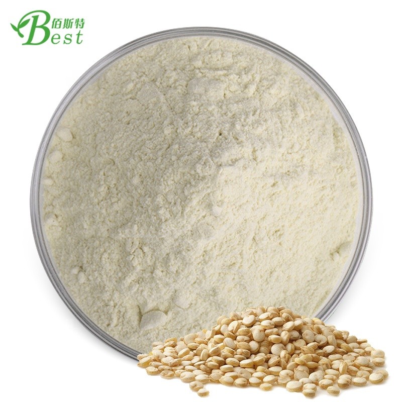 Factory Wholesale Quinoa Protein Powder  30% Quinoa Powder