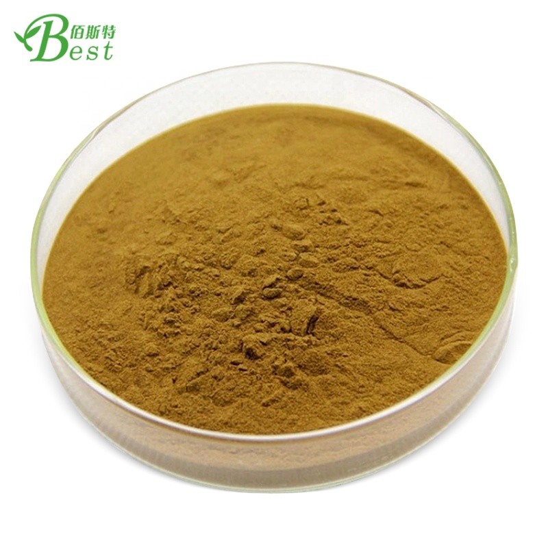 Hot Sale Instant Yellow Tea Powder 100% Nature with OEM Service