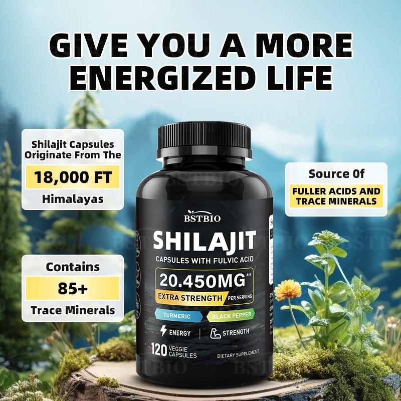 BSTBIO OEM Natural Himalayan Shilajit Resin Extract 120capsules/Bottle Shilajit Capsules