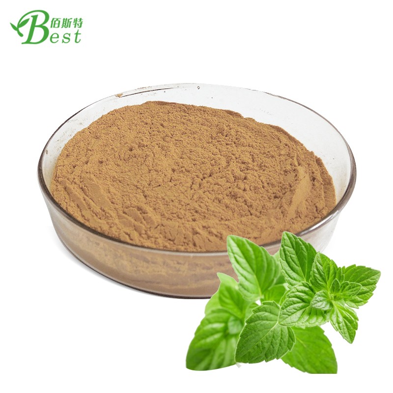 Best Price Catnip Plant Extract Powder / Nepeta Cataria Extract 10:1