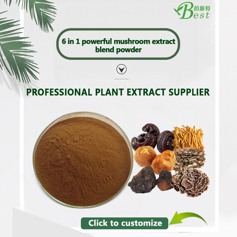 OEM 6 in 1 Reishi  Lions Mane  Chaga  Cordyceps  Maitake  Agaricus Blazei Mushroom Coffee