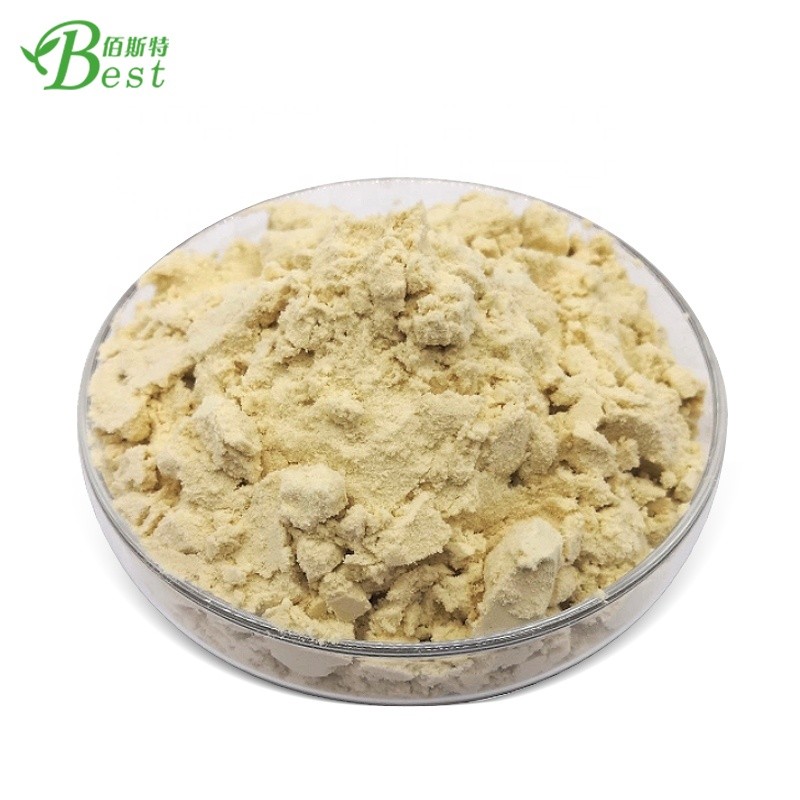 Organic Chickpea Protein Isolate Powder Chickpea Protein Powder Chickpea Powder