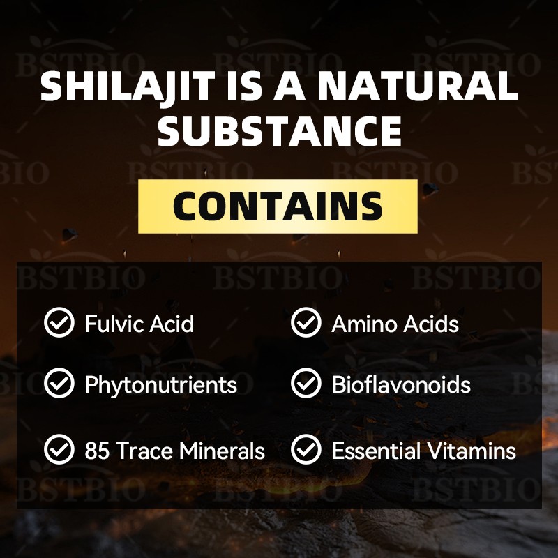 BSTBIO OEM Natural Himalayan Shilajit Resin Extract 120capsules/Bottle Shilajit Capsules