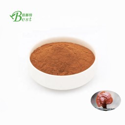 Nutritional Food Seasoning Powder Reishi Mushroom Powder/lucidum Ganoderma Powder/ganoderma Powder Lucidum