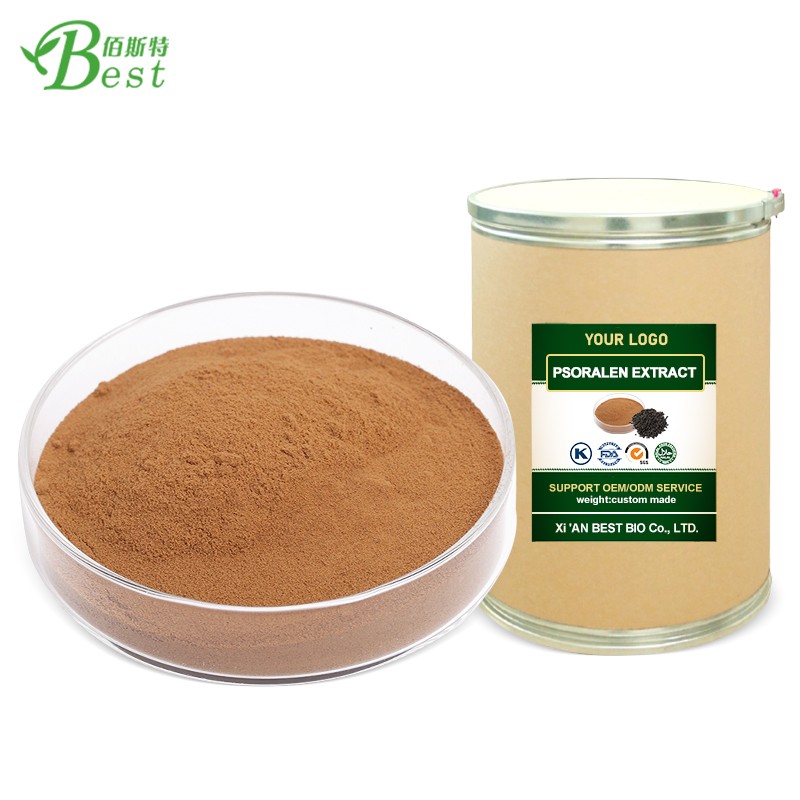 Psoralea Corylifolia Extract Psoralen 10:1