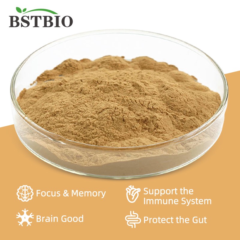 BSTBIO Polysaccharides Hericium Erinaceus Mycelium Powder Organic Lions Mane Mushroom Extract