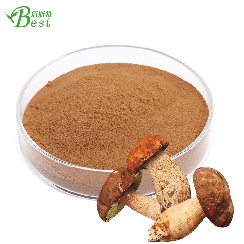 High Grade Soup Powder Seasoning Boletus Mushroom Powder Flavouring/boletus Edulis Powder/porcini Powder Dried Seafood 30%