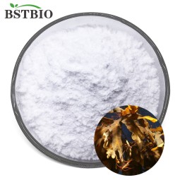 Best Price 95% 98% Fucoidan Extract Powder Fucoidan Capsule Pure Fucoidan Powder