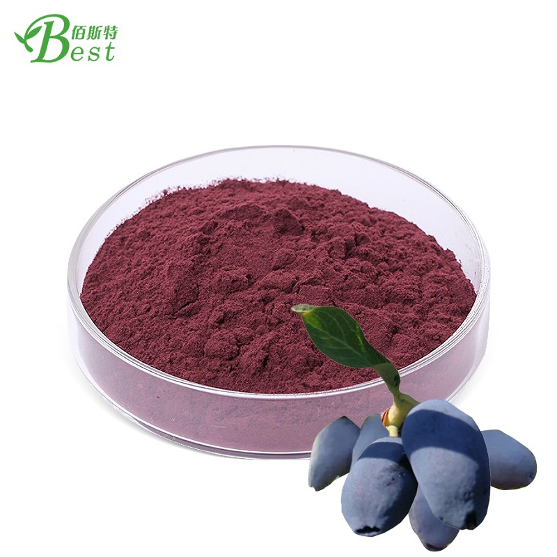 100% Natural Lonicera Caerulea Extract Powder 15% 25% Anthocyanins