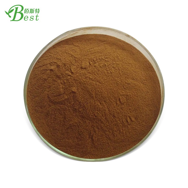 OEM 6 in 1 Reishi  Lions Mane  Chaga  Cordyceps  Maitake  Agaricus Blazei Mushroom Coffee