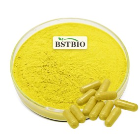 BSTBIO Supplements CAS 528-48-3 98% Fisetin Powder