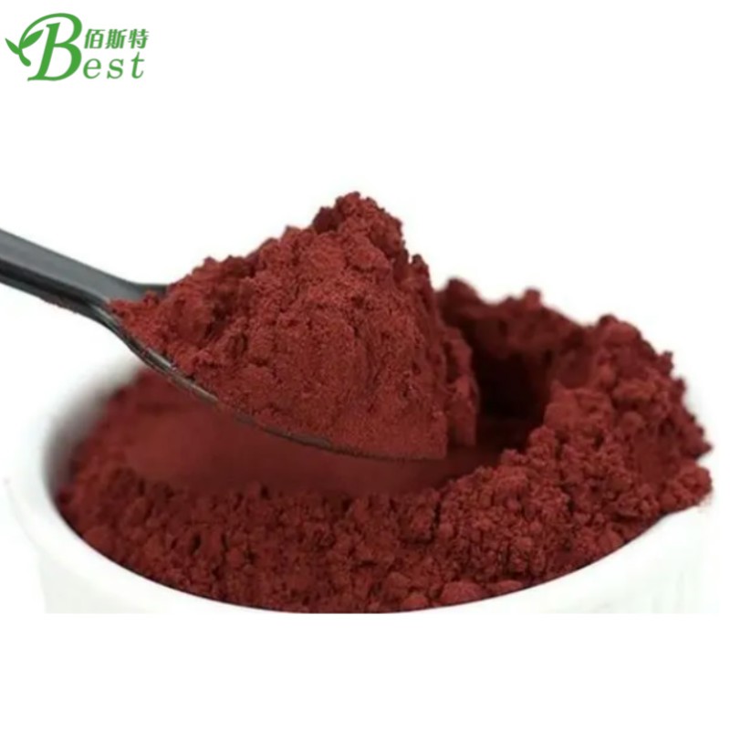 Wholesale Price Food Grade Food Additive Coloring Red Monascus Red Powder Colours Natural Pigment