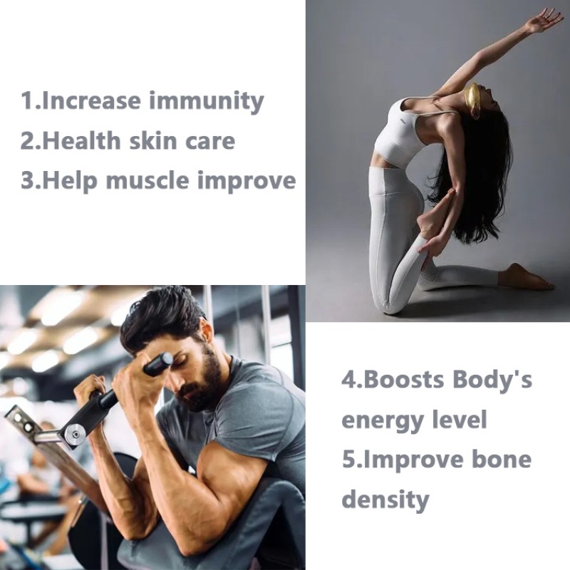 Standard Whey Protein Powder Bodybuilding Sport Nutrition Supplement Whey Powder Gold Protein Bars Protein Shake Food Grade /