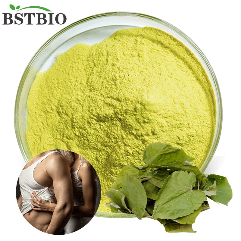 Supplier Epimedium Horny Goat Weed Powder Epimedium Extract 98% 20% 10% Icariin Powder China Food HPLC Arnica Wild Leaf 2 Years