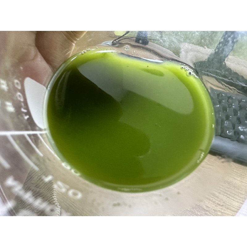 Xi'an Best Factory Wholesale Organic 100% Pure a Matcha Powder Bulk Organic Matcha Powder