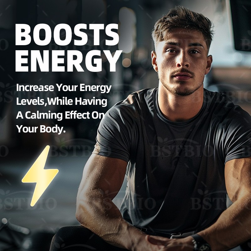 BSTBIO OEM Natural Himalayan Shilajit Resin Extract 120capsules/Bottle Shilajit Capsules