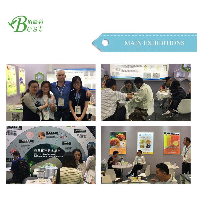 Wholesale High Quality Chinese Sunflower Seeds Sunflower Seed Sprout Protein Extract Powder