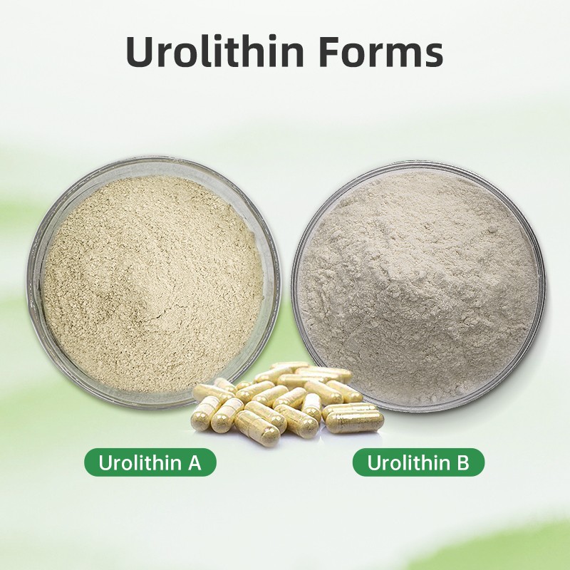 Wholesale Supply Bulk Urolithin-a 98% Urolithin A Supplement Urolithin A Powder
