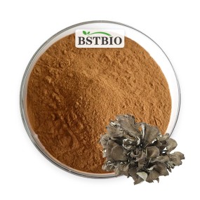 BSTBIO Grifola Frondosa Extract Powder Polysaccharides 10%-50% Organic Maitake Mushroom Extract