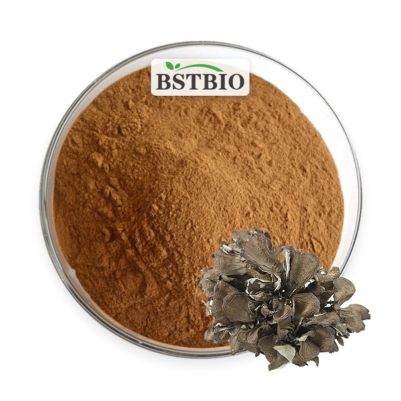 BSTBIO Grifola Frondosa Extract Powder Polysaccharides 10%-50% Organic Maitake Mushroom Extract