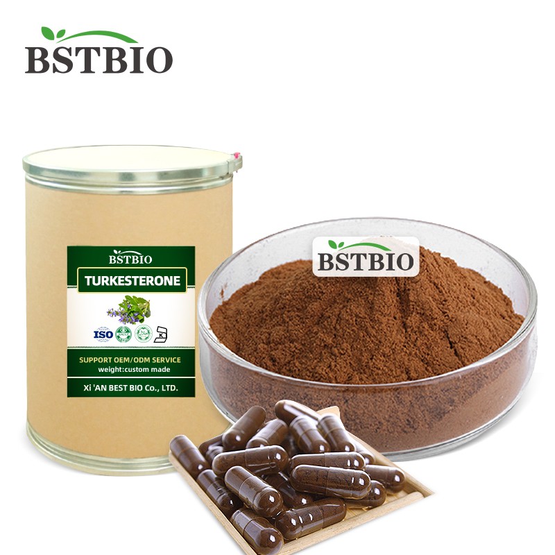 100% Natural Buy Turkesterone Capsules Ajuga Turkestanica Extract 10% Pure Turkesterone Powder