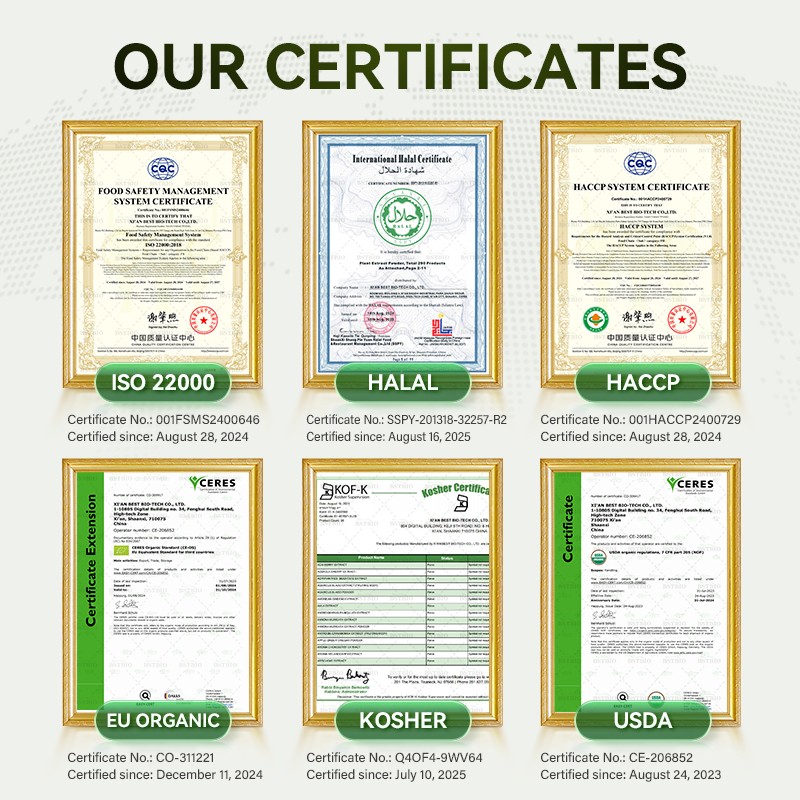 BSTBIO Pure Panax Ginseng Extract 5%-80% Ginsenosides Korean Red Ginseng Root Extract Gold Korean Red Ginseng Powder